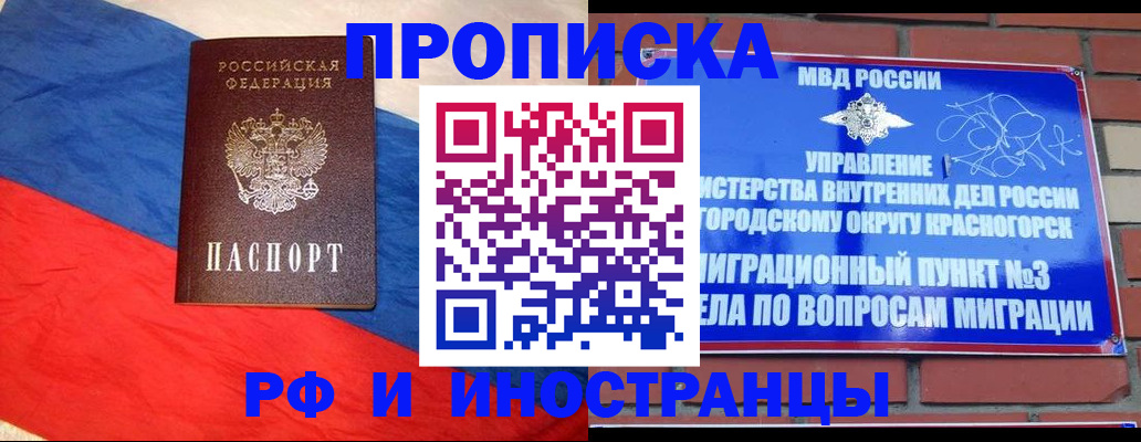 временная регистрация для всех в Электрогорске